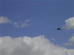 PICT1837.JPG